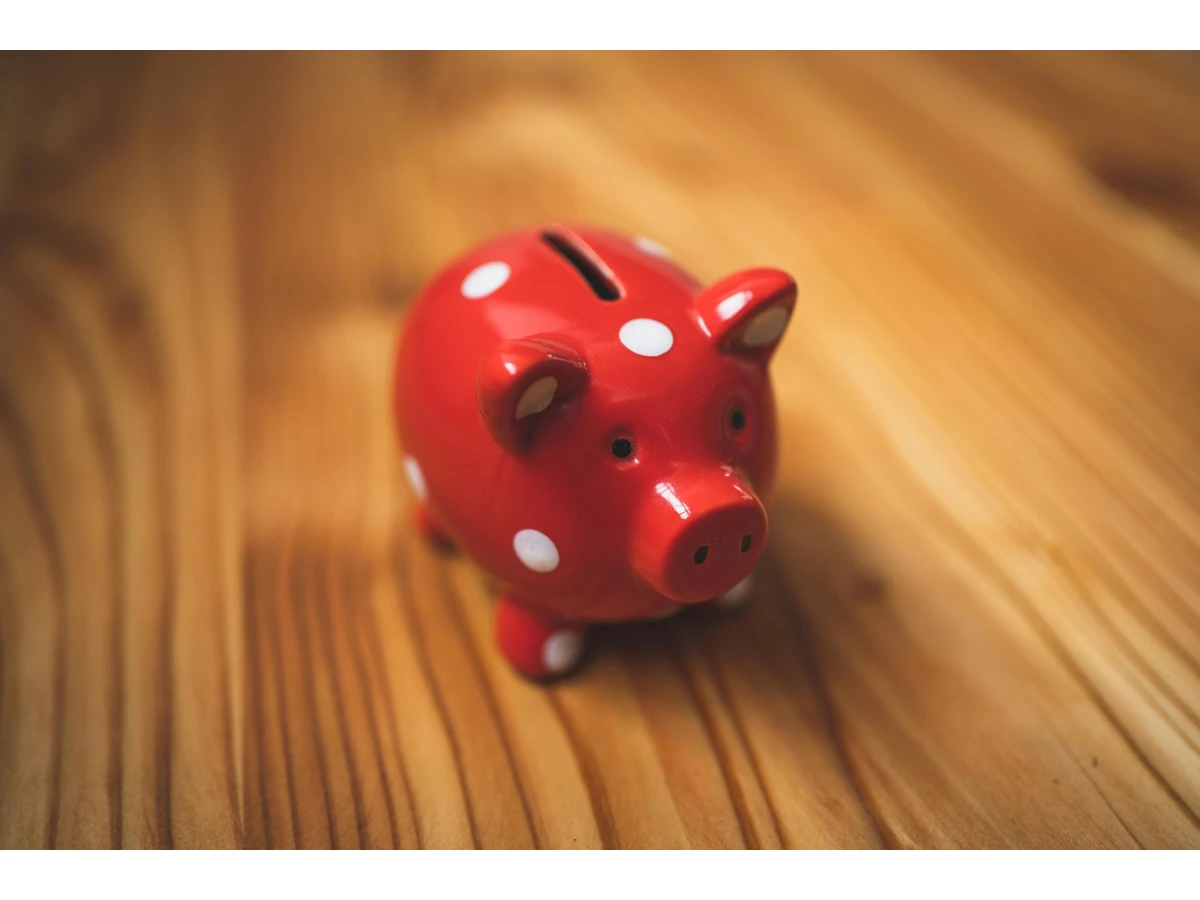 Cochon pour épargner