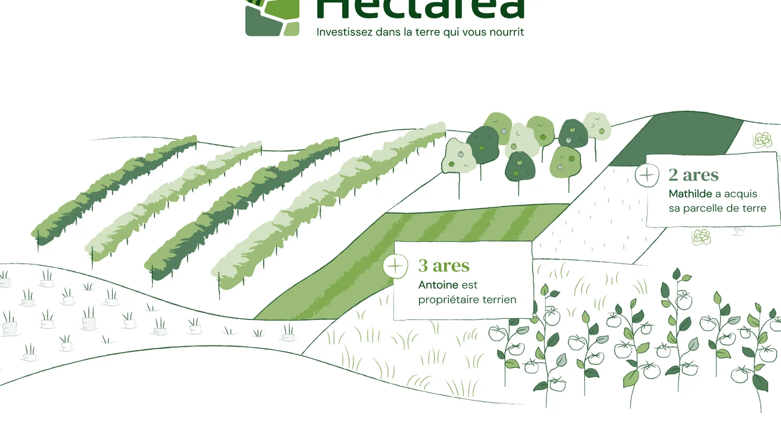 Hectarea : investissez dans 137 ares en culture éco-responsable de fleurs