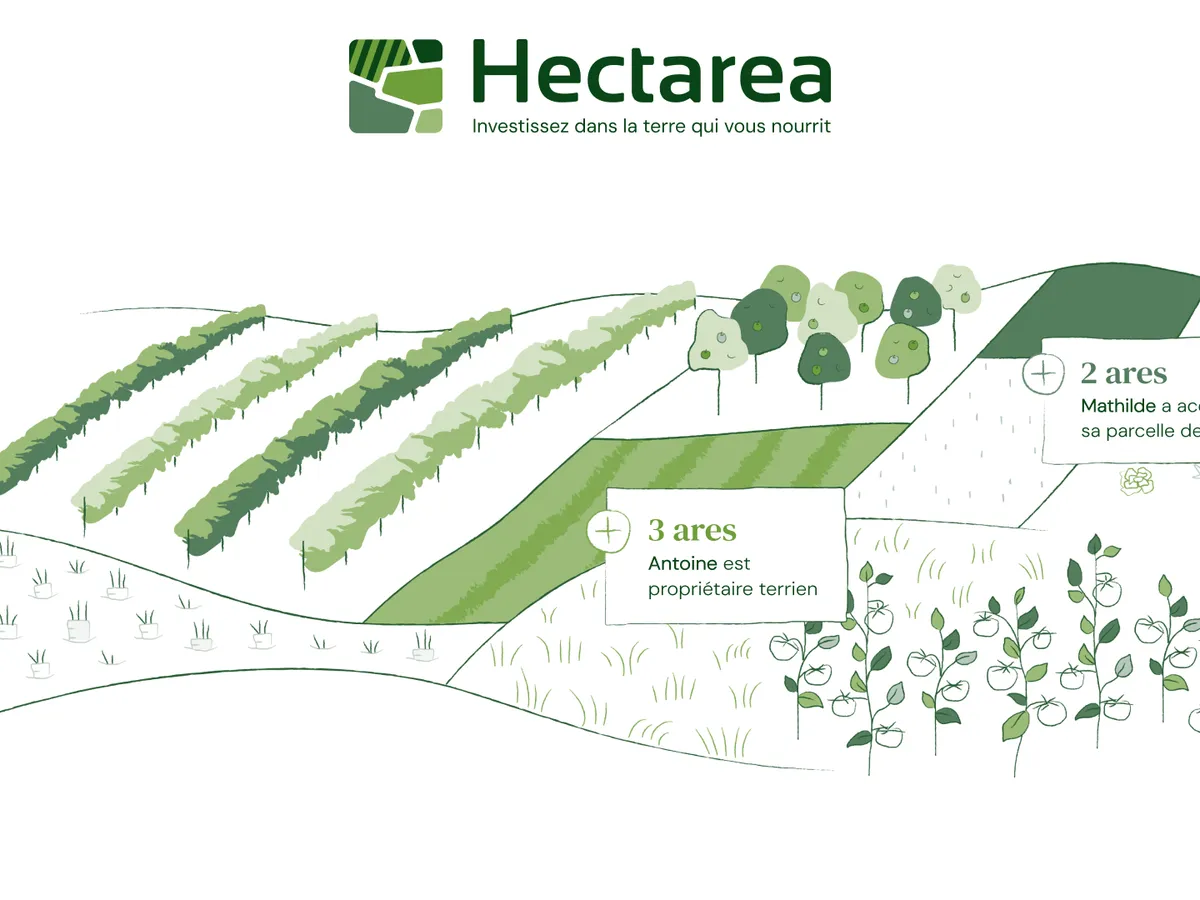 Hectarea : investissez dans 137 ares en culture éco-responsable de fleurs