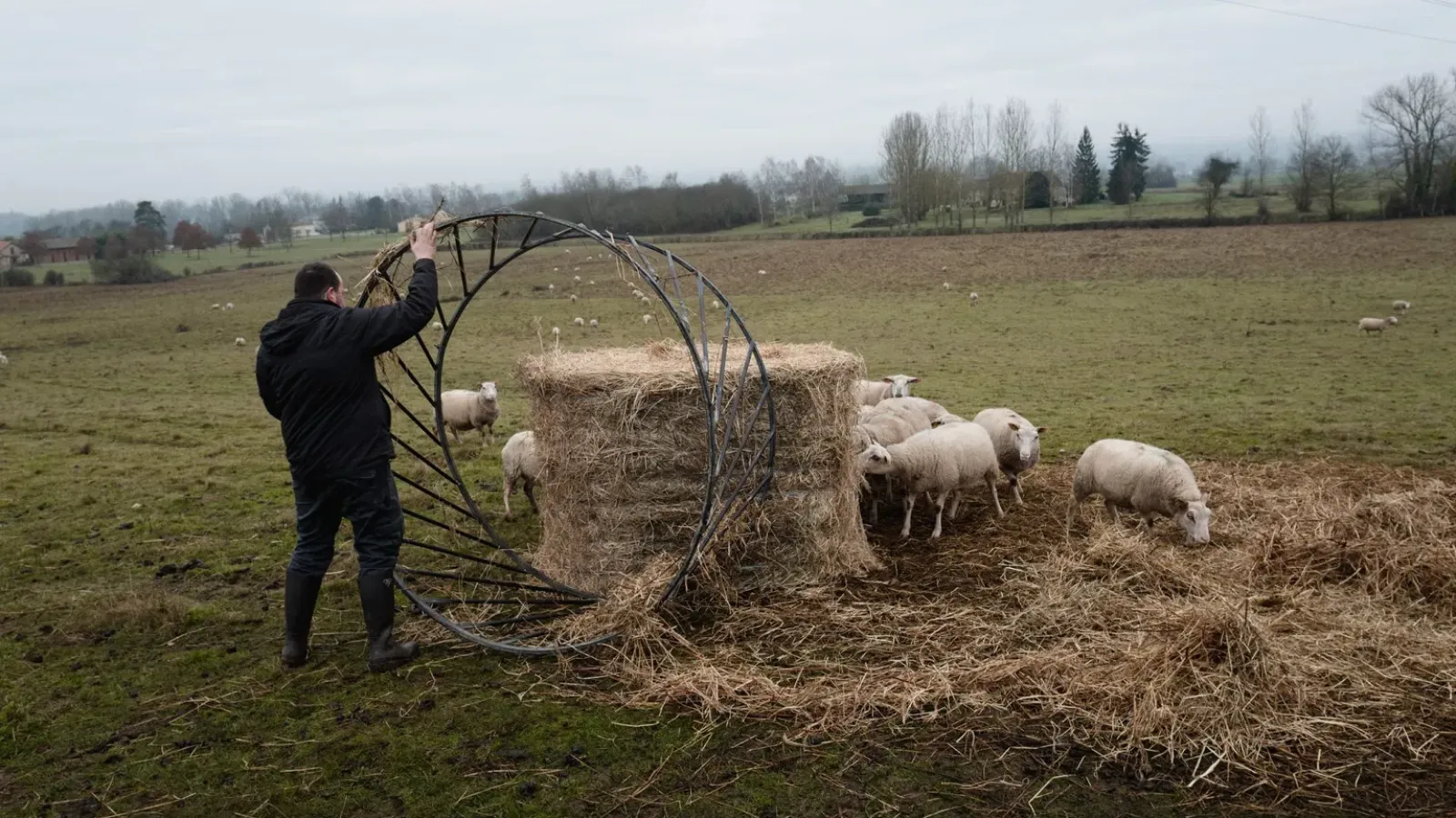 FEVE : Donnez vie à des fermes agroécologiques | Le média de l'investisseur