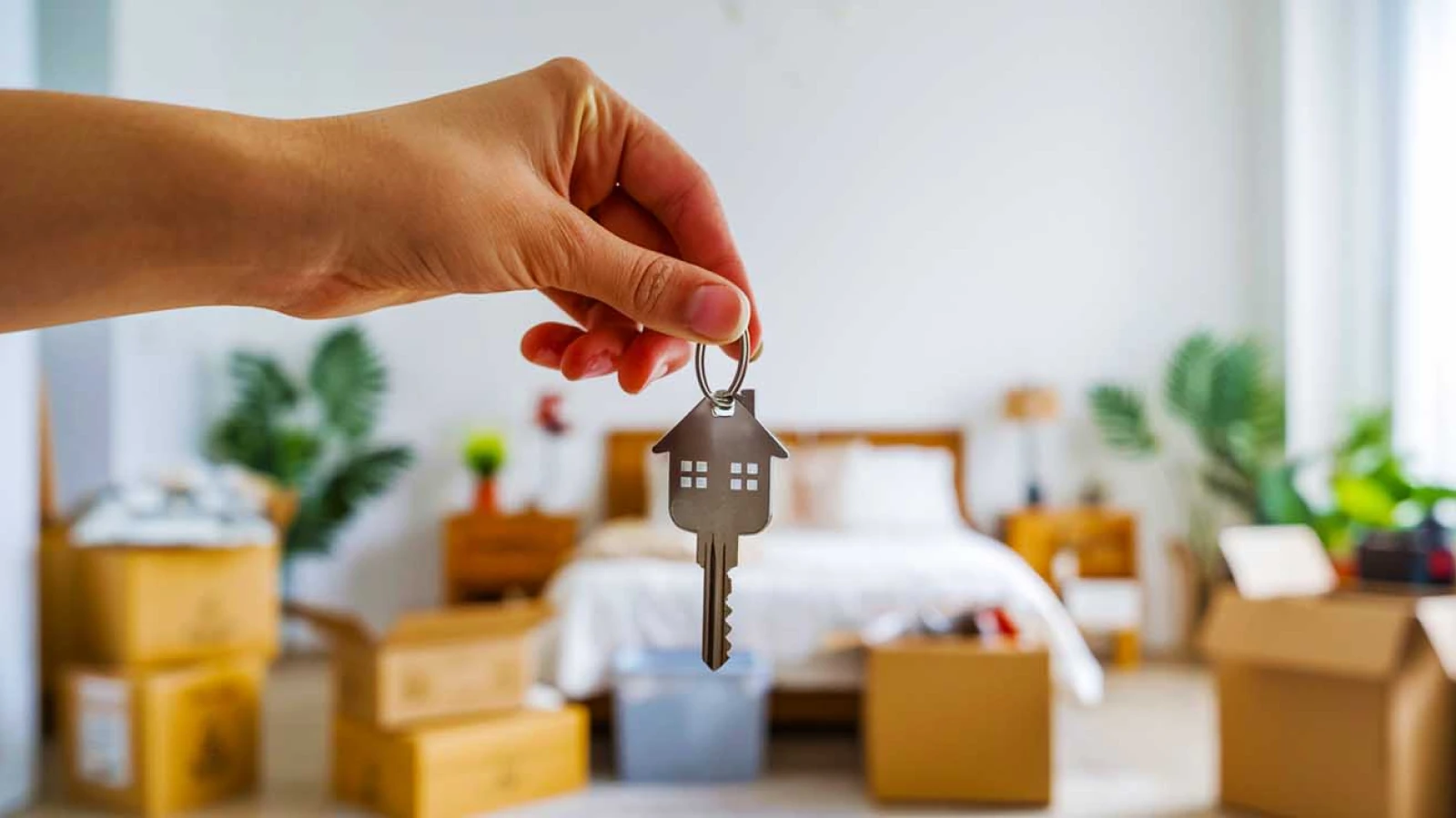 Investissement locatif : 5 villes inattendues où les logements étudiants s'arrachent à moins de 100 000€