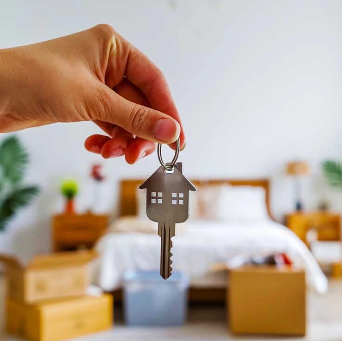 Investissement locatif : 5 villes inattendues où les logements étudiants s'arrachent à moins de 100 000€ | Le média de l'investisseur