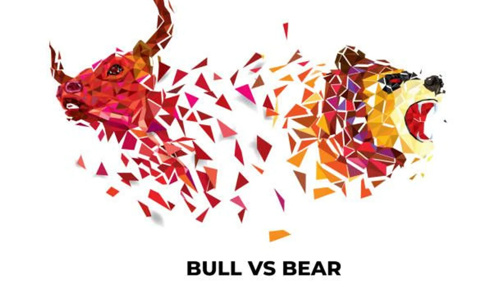 Bull run vs bear market : quelles différences ?