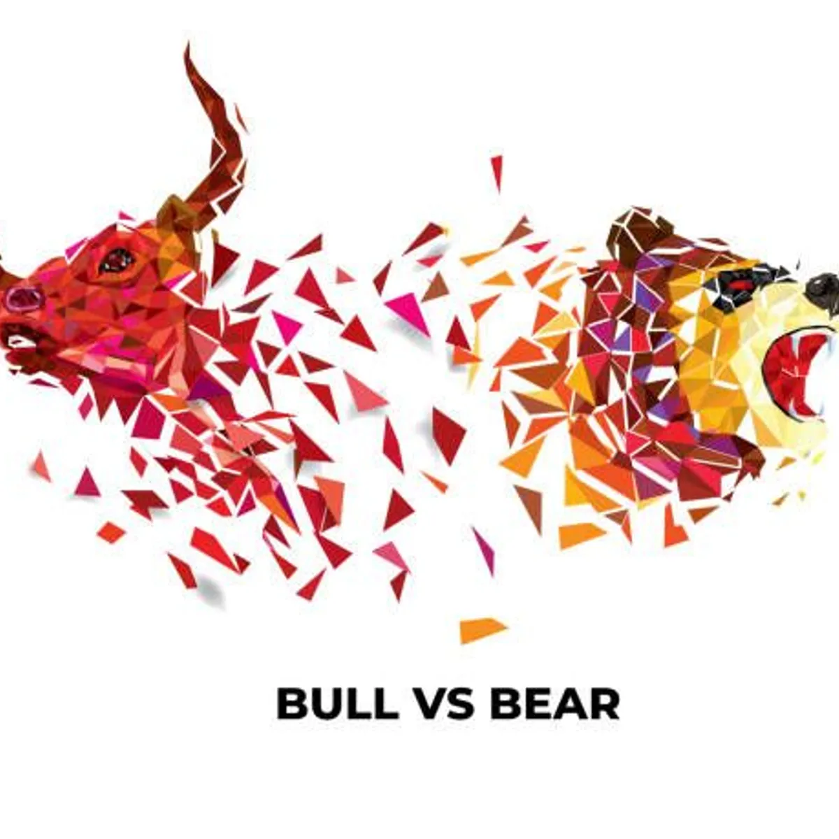 Bull run vs bear market : quelles différences ? | Le média de l'investisseur